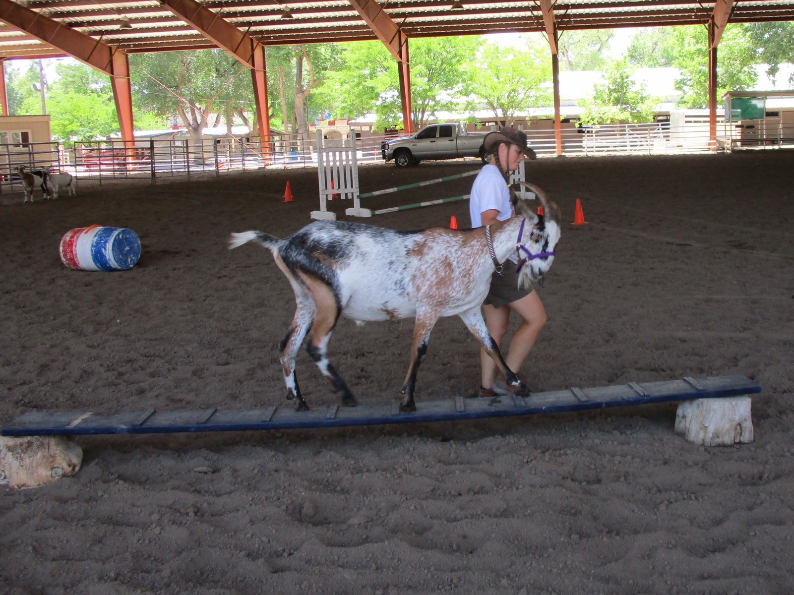 Trail Class: The Obstacle Course